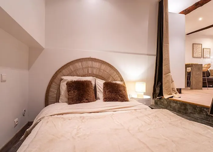 L'adresse Du Choeur - Vieux Apartment *